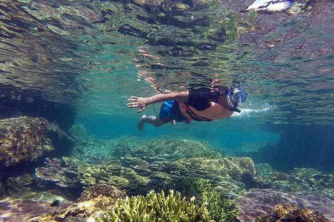 Cabo Pulmo National Park Snorkel Expedition from Cabo San Lucas - The 7:00 a.m. Start and the East Cape Road Trip