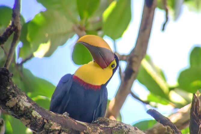 Cahuita National Park Hiking - Meeting at Parque Nacional Cahuita: Fast Check-In, Then Go