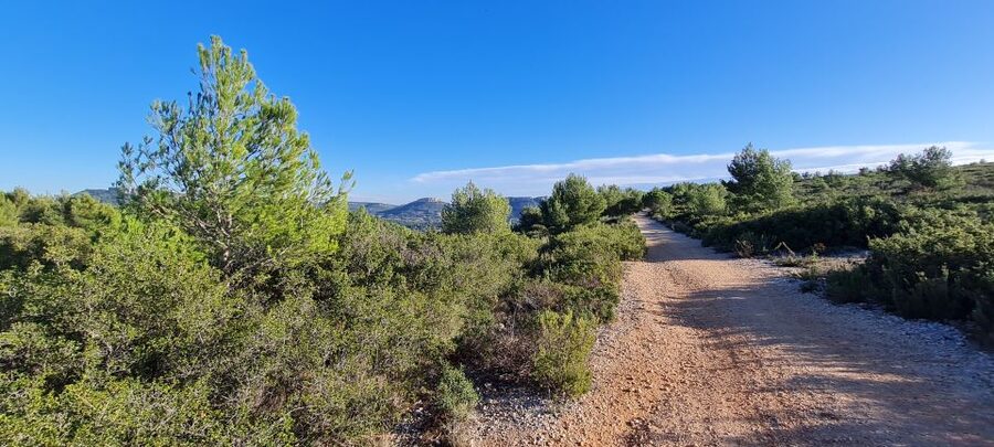 Calanques National Park: E-Mountain Bike with Virtual Guide - Riding from Cassis: creeks, gravel tracks, and choosing your comfort level