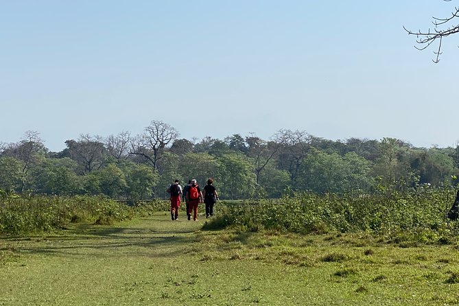 Canoeing and Nature Walk in Chitwan National Park - Sauraha and Chitwan: the short route to real wildlife time