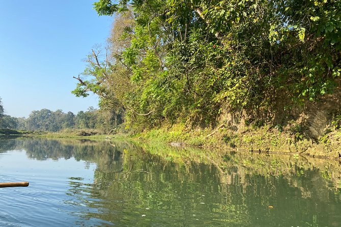 Canoeing and Nature Walk in Chitwan National Park - Price and value: why this feels fair at about $61.54