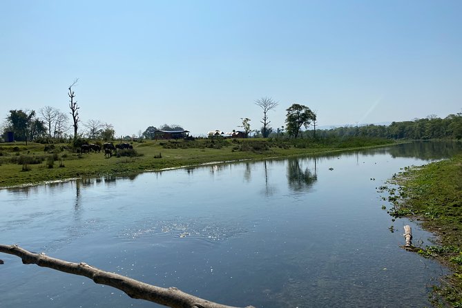Canoeing and Nature Walk in Chitwan National Park - Comfort tips for canoeing and the forest walk