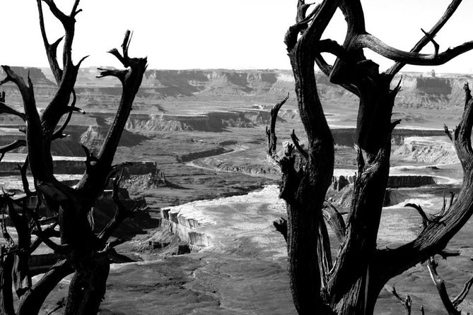Canyonlands National Park Half-Day Tour from Moab - What’s included, what’s not, and the real value of $196.96