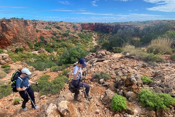 Cape Range National Park Full-Day Trekking Adventure - Mangrove Bay or a final dune climb for one last view
