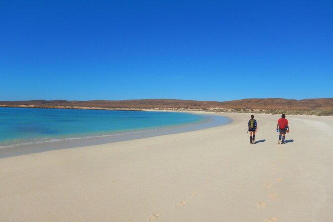 Cape Range National Park Full-Day Trekking Adventure - Cape Range gorges and canyons: real walking, not a postcard tour