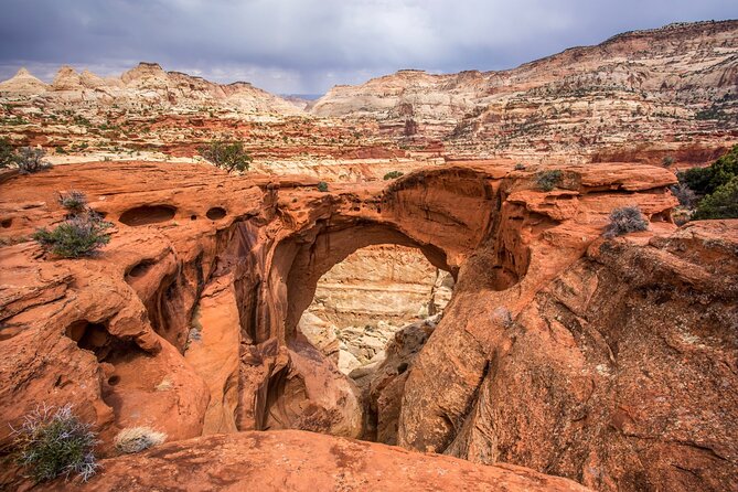 Capitol Reef National Park Self-Guided Driving Audio Tour - Price, value, and the practical stuff that makes or breaks it