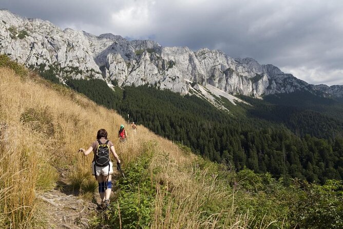 Carpathians in Romania: Piatra Craiului National Park with native Spanish guide. - Key highlights you’ll actually care about