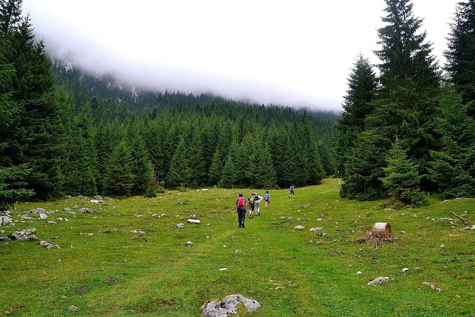 Carpathians in Romania: Piatra Craiului National Park with native Spanish guide. - Why Piatra Craiului feels like Transylvania’s wild spine