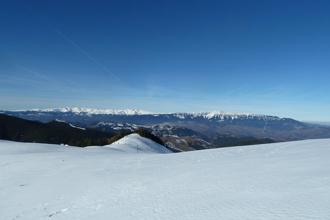 Carpathians in Romania: Piatra Craiului National Park with native Spanish guide. - Physical prep and mountain gear: keep this hike fun, not punishing
