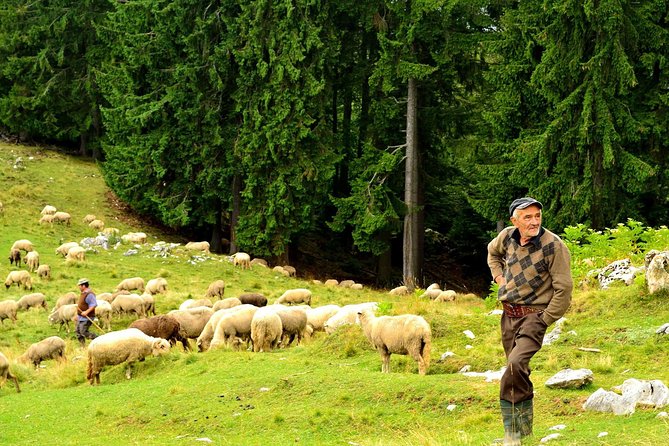 Carpathians in Romania: Piatra Craiului National Park with native Spanish guide. - Price and what you truly get for $96.33