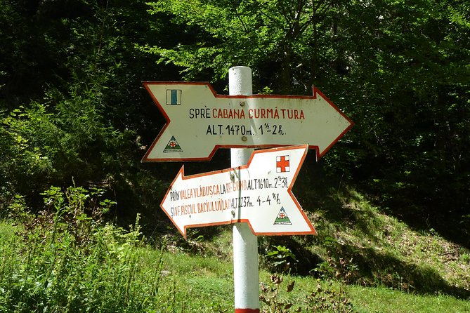 Carpathians in Romania: Piatra Craiului National Park with native Spanish guide. - Should you book this guided Piatra Craiului hike?