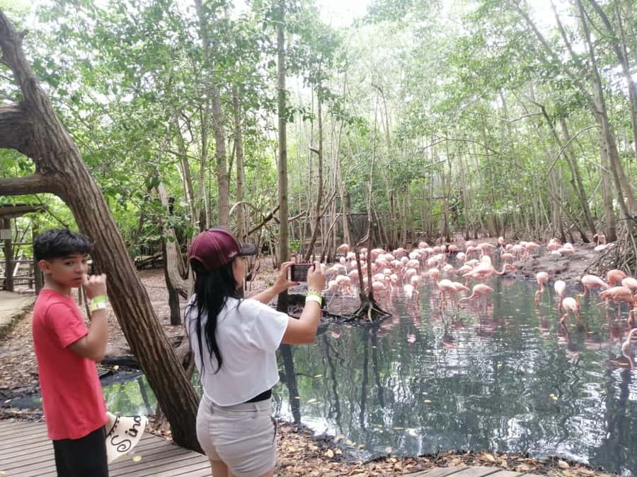 Cartagena: Aviary National Park Tour with Hotel Pickup - Key Highlights You’ll Care About