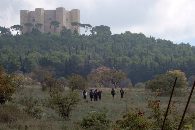 Castel del Monte: excursion in the Alta Murgia National Park - Alta Murgia National Park: long views over limestone country