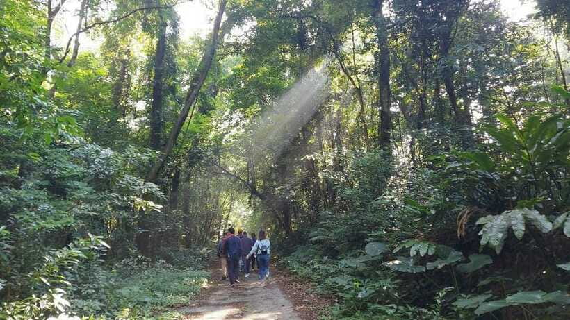 Cat Ba: National Park Day Trip with Cycling and Kayaking - Cycling to Viet Hai harbor: the scenic part of the day