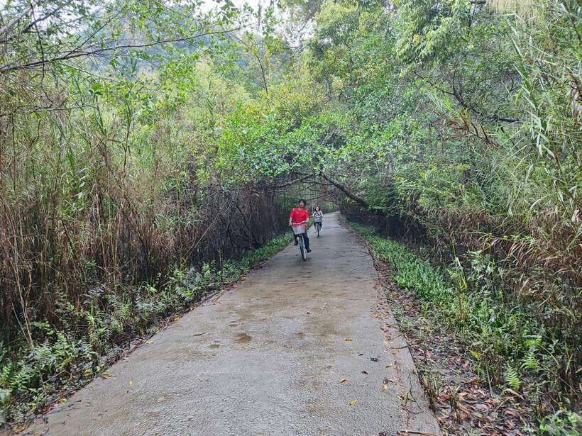 Cat Ba National Park Full Day Guide Tour Trekking & Kayaking - From Cat Ba Town to the National Park Gate
