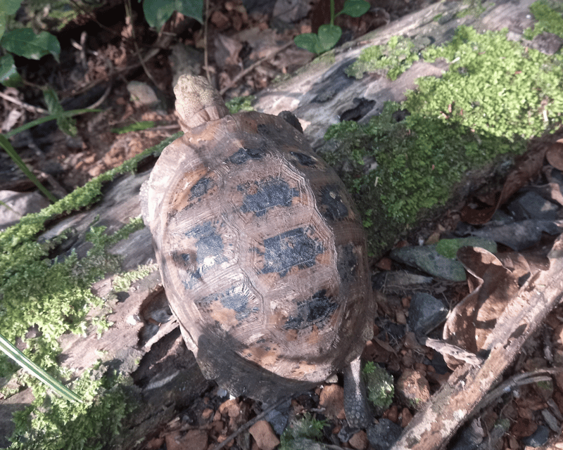 Cat Tien National Park with Crocodile Lake - What to pack and how to handle the day smoothly