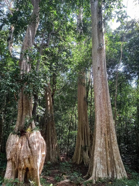 Cat Tien National Park with Crocodile Lake - Night safari spotlighting: where dusk turns into animal time