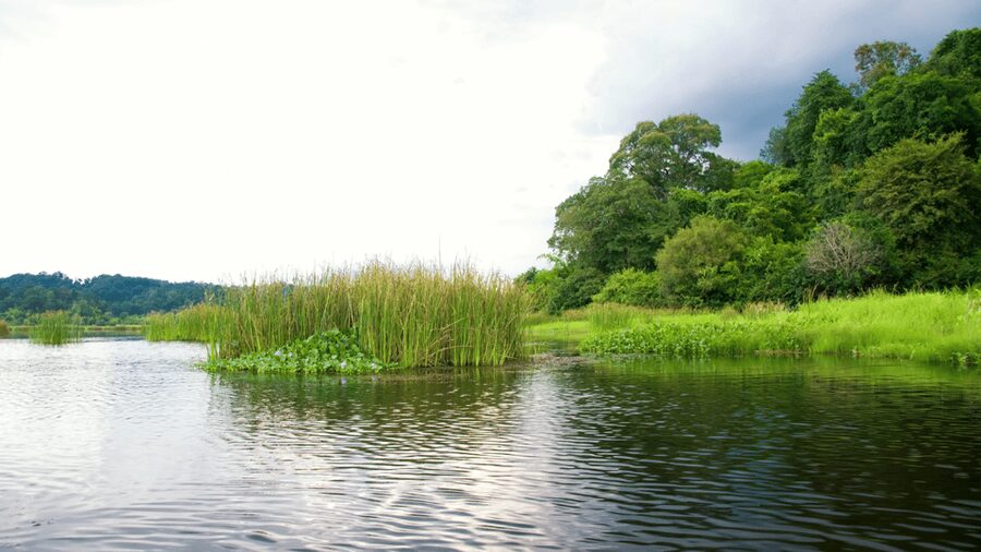 Cat Tien National Park with Crocodile Lake - Price and value: what $165 buys you in real terms