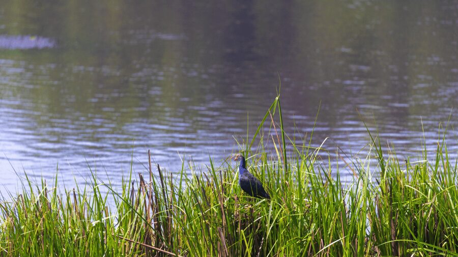 Cat Tien National Park with Crocodile Lake - Getting there from Ho Chi Minh City and how you’ll move on tour