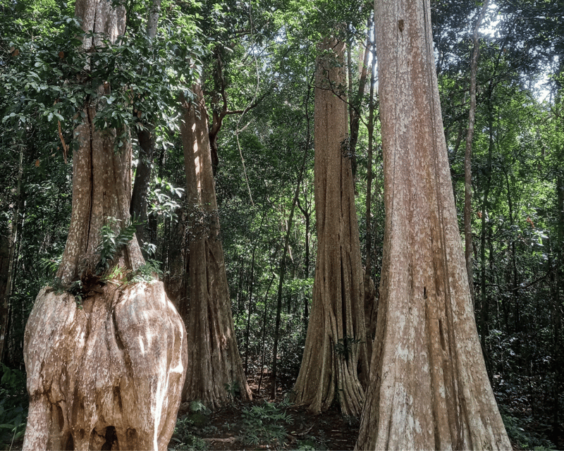 Cat Tien National Park with Crocodile Lake - Who this tour suits (and who should think twice)