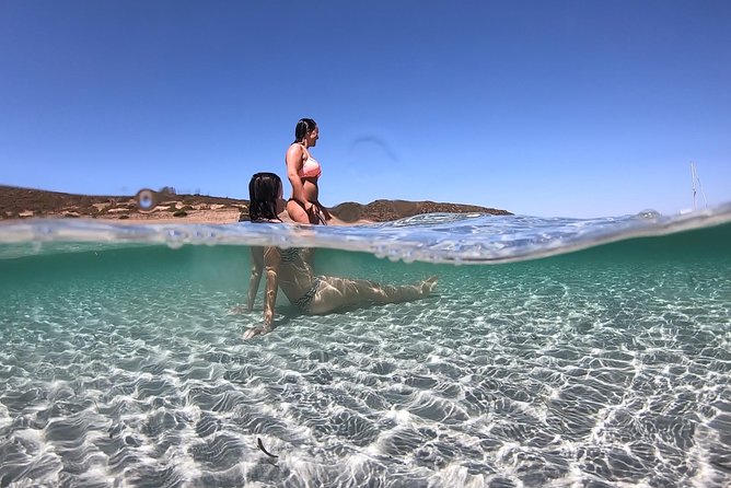 Catamaran excursions in the Asinara island National park - Key highlights worth planning for