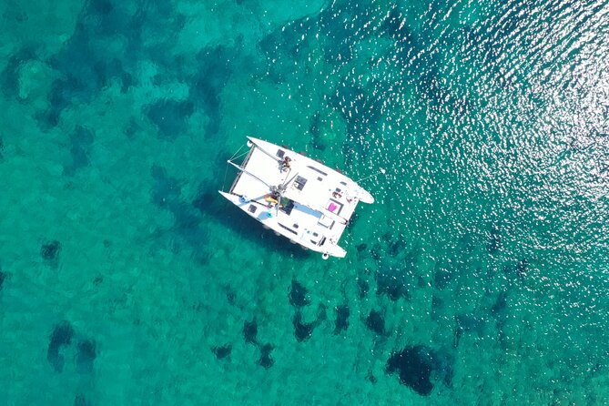 Catamaran excursions in the Asinara island National park - The small-group catamaran setup (12 people max)