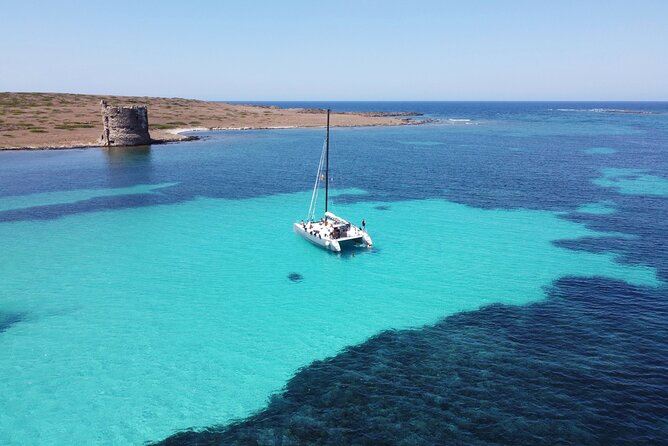 Catamaran excursions in the Asinara island National park - Timing in the real world: 9:30 to 18:00, plus shorter runs