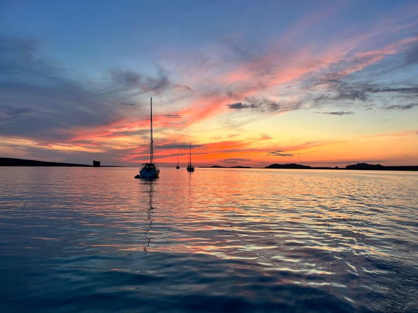 Catamaran tour Asinara island national park Buriana Charter - Shore time on Asinara: wildlife viewing and the animal recovery center option