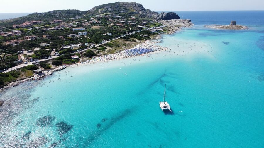 Catamaran tour Asinara island national park Buriana Charter - Wildlife spotting from the water: dolphins and cetaceans