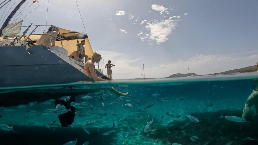 Catamaran tour Asinara island national park Buriana Charter - Price and value: what you’re paying for at about $113