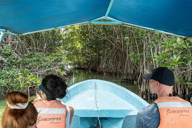 Chacahua National Park - Night lagoon return and the bioluminescence chance