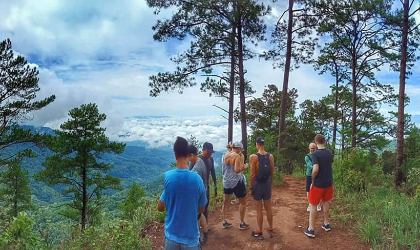 Chiang Mai: 7-Hour Doi Suthep National Park Summit Hiking - Key Things You’ll Notice on This Doi Suthep Summit Hike