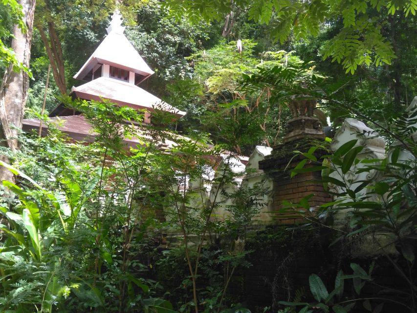 Chiang Mai: 7-Hour Doi Suthep National Park Summit Hiking - Price and Value: What $60 Really Buys You