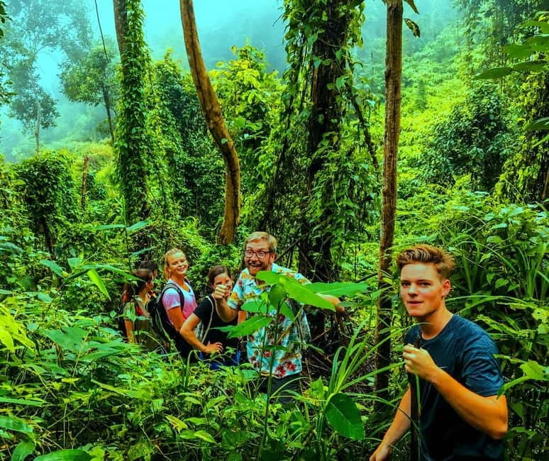 Chiang Mai: 7-Hour Doi Suthep National Park Summit Hiking - Wat Phra That Doi Suthep Stops: The View-Reward Loop