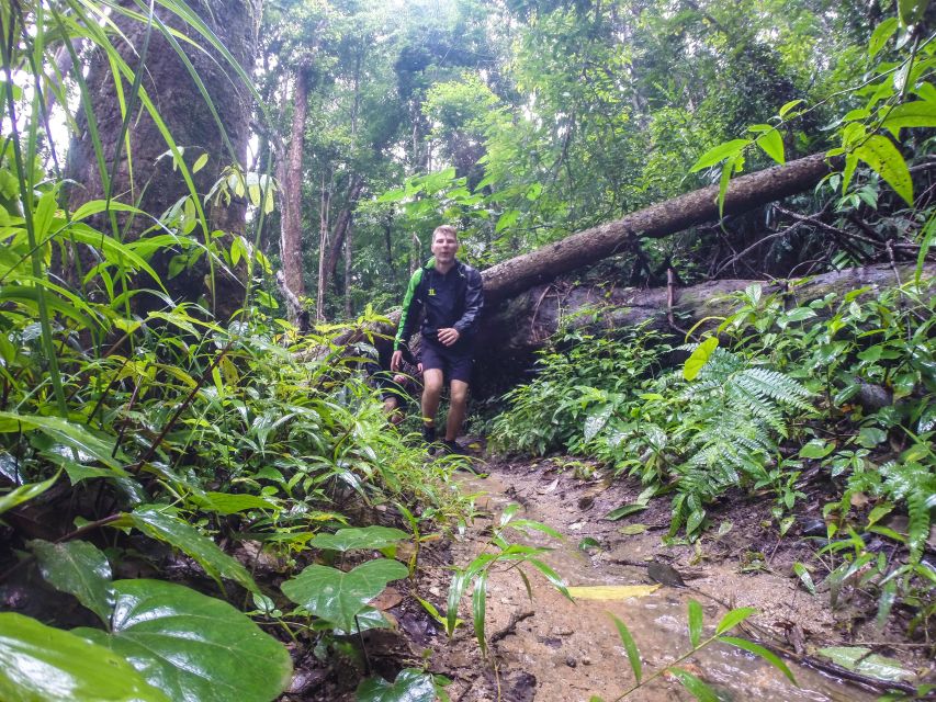 Chiang Mai: 7-Hour Doi Suthep National Park Summit Hiking - Lunch Timing and the Real Rhythm of the Day