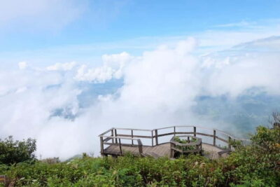 Chiang Mai: Doi Inthanon National Park and Kew Mae Pan Tour - Twin Pagodas: gardens, flowers, and big valley views