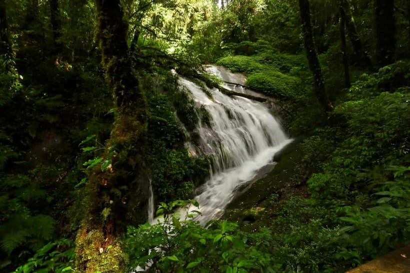 Chiang Mai: Doi Inthanon National Park and Kew Mae Pan Tour - Price and what $61 buys you in value