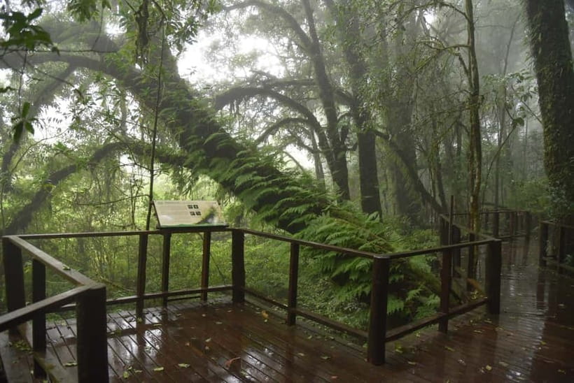 Chiang Mai: Doi Inthanon National Park and Kew Mae Pan Tour - Who this tour fits best (and who should skip it)