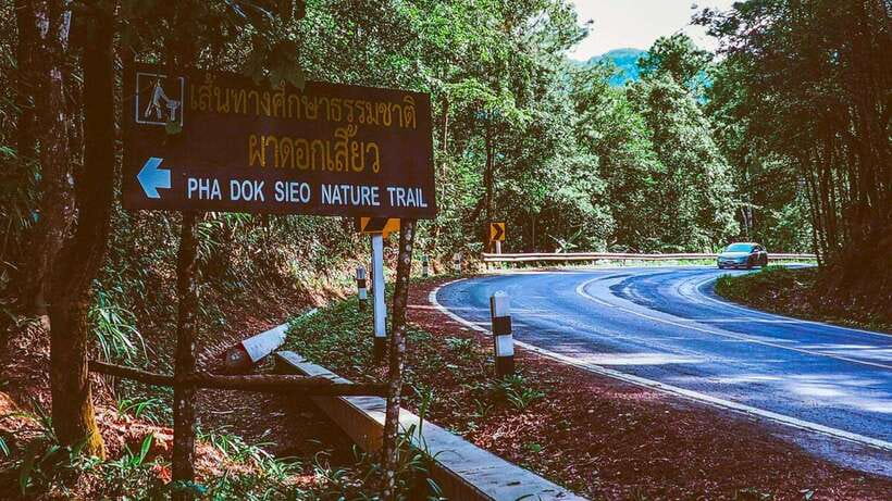 Chiang Mai: Doi Inthanon National Park and Pha Dok Siew Trek - Who this tour suits best (and who should rethink it)