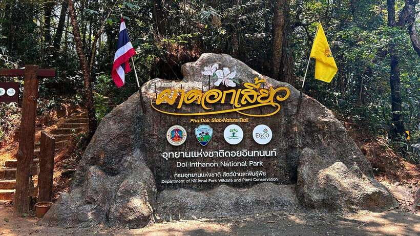 Chiang Mai: Doi Inthanon National Park and Pha Dok Siew Trek - The full-day rhythm: how this Chiang Mai escape really plays out