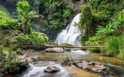 Chiang Mai: Doi Inthanon National Park and Pha Dok Siew Trek - Entering Doi Inthanon National Park: highest peak vibes without the all-day struggle