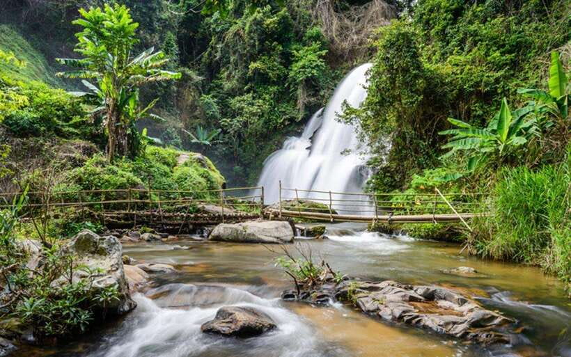Chiang Mai: Doi Inthanon National Park and Pha Dok Siew Trek - Entering Doi Inthanon National Park: highest peak vibes without the all-day struggle