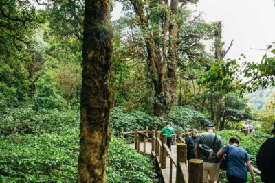 Chiang Mai: Doi Inthanon National Park Eco-Friendly Tour - The 9-hour rhythm: van time, short stops, and how it feels