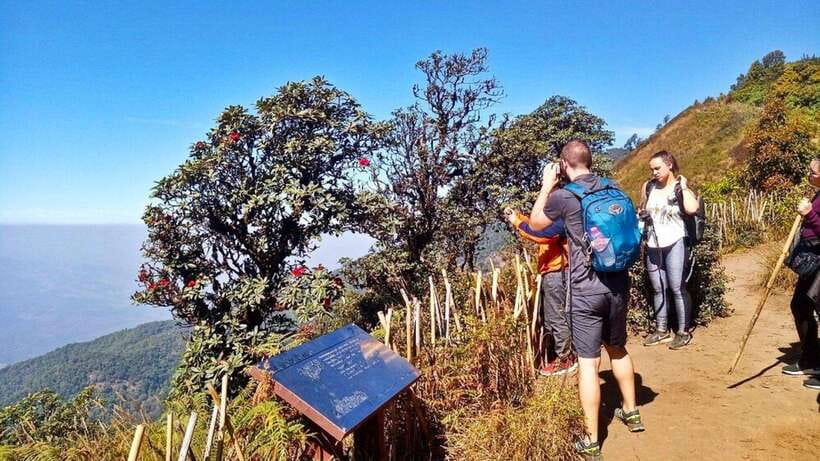 Chiang Mai:Doi Inthanon National Park & Hike at Kew Mae Pan - Key highlights that make this day trip worth it