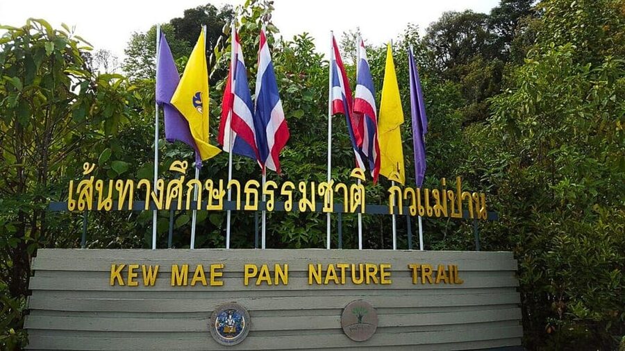 Chiang Mai:Doi Inthanon National Park & Hike at Kew Mae Pan - The day’s flow: long van rides, short stops, and group pacing