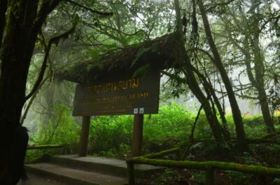 Chiang Mai: Doi Inthanon National Park Private Tour - Pickup, private pacing, and the three ways to do this tour