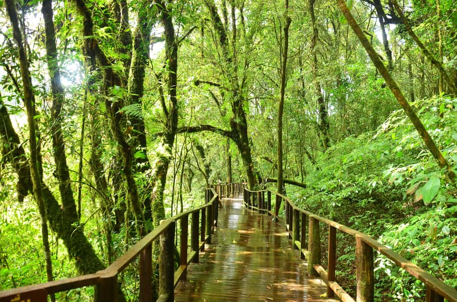 Chiang Mai: Doi Inthanon National Park Private Tour - What to pack for Doi Inthanon so you don’t suffer