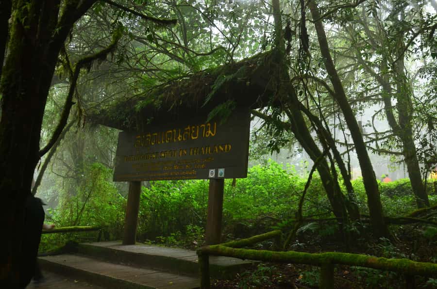 Chiang Mai: Doi Inthanon National Park Private Tour - Pickup, private pacing, and the three ways to do this tour