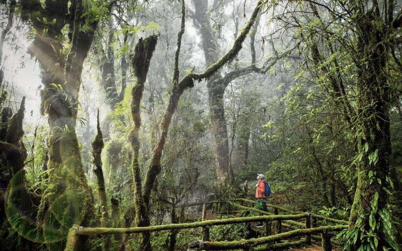Chiang Mai: Doi Inthanon National Park Sightseeing Only - Key things I’d plan around