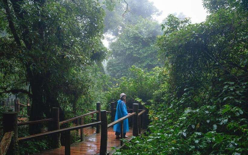 Chiang Mai: Doi Inthanon National Park Sightseeing Only - Lunch set menu: usually good, but plan for set-style timing
